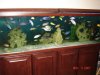 DSC01614.JPG