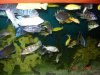 DSC01611.JPG