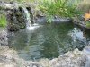 pond1.jpg