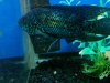 2013-02-28_12-34-41_909.jpg