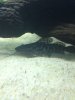 IMG_0721.jpg
