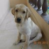 uploadfromtaptalk1362115657332.jpg