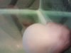 uploadfromtaptalk1362190372602.jpg