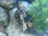 uploadfromtaptalk1362201414369.jpg