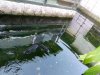 20130222_184301.jpg