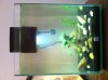 IMG_0903.JPG IMG_0903.JPG