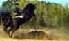 ImageUploadedByMonsterAquariaNetwork1362827780.989622.jpg