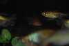 DSC_1383.JPG