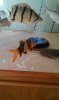 IMAG0159.jpg