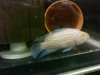 2013-03-07_19-16-37_276.jpg 2013-03-07_19-16-37_276.jpg