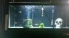 2013-03-08_16-17-31_720.jpg 2013-03-08_16-17-31_720.jpg