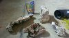 2013-03-14_12-50-58_193.jpg 2013-03-14_12-50-58_193.jpg