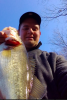 Bondbass4.png