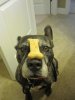 Kimo Treat 3.JPG