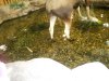 DSCN2397.JPG