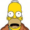 ImageUploadedByMonsterAquariaNetwork1363579517.565764.jpg