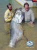 ImageUploadedByMonsterAquariaNetwork1363730021.029270.jpg