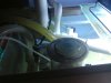 ImageUploadedByMonsterAquariaNetwork1364003762.098775.jpg ImageUploadedByMonsterAquariaNetwork1364003762.098775.jpg