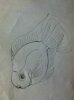 ImageUploadedByMonsterAquariaNetwork1364140498.633957.jpg