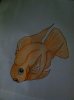 ImageUploadedByMonsterAquariaNetwork1364143671.712486.jpg