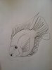 ImageUploadedByMonsterAquariaNetwork1364224508.551366.jpg