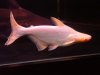 DSC03605.JPG