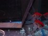 DSC00298.JPG