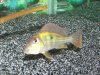 100_0142.jpg