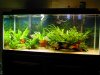 DSCN3295.JPG