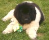 dory3mos.jpg