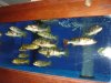 DSC08103.JPG