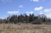 wilderness life 004.JPG