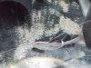 DSCF0379.JPG