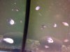 ImageUploadedByMonsterAquariaNetwork1364497831.699700.jpg