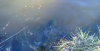 Bigbondbass3-28 003.png