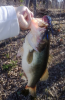 Bigbondbass3-28 004.png