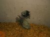 freshfishpics 059.JPG