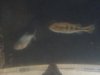026.JPG