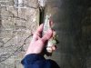 uploadfromtaptalk1365001121640.jpg
