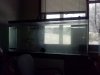 uploadfromtaptalk1365195194435.jpg