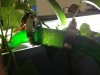 ImageUploadedByMonsterAquariaNetwork1365273974.042691.jpg