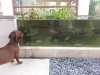 20130406_071619.jpg