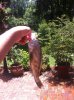 IMG_2362.jpg IMG_2362.jpg