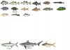 Monster fish V.jpg