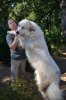 DSC_0009.jpg