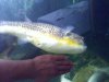 Img_130411163459.jpeg