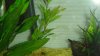 DSC01557.JPG