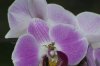 DSC_0791.jpg