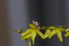 DSC_0779.jpg