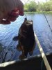 ImageUploadedByMonsterAquariaNetwork1367064908.711987.jpg